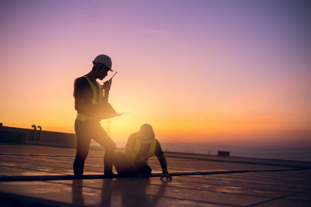Roof Gutter Cleaning in Poplar Grove, IL