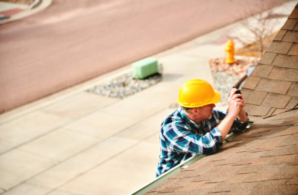 Best Roof Gutter Cleaning  in Poplar Grove, IL