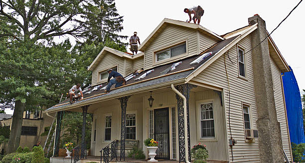 Best Local Roofing Companies  in Poplar Grove, IL
