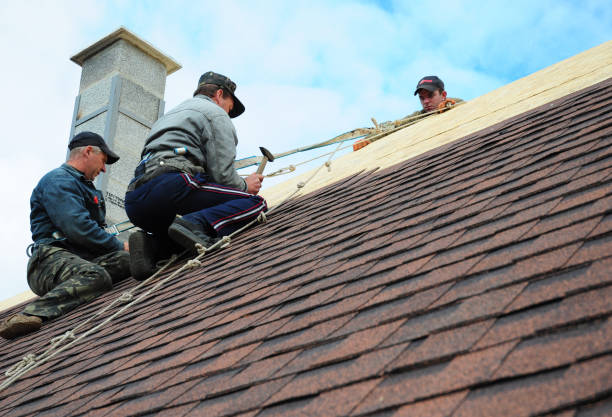 Best Storm Damage Roof Repair  in Poplar Grove, IL